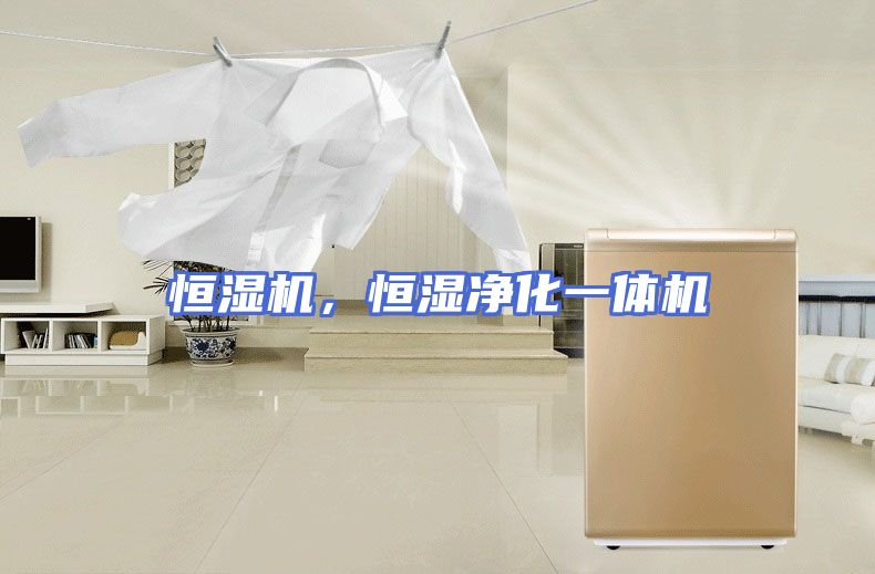 恒湿机，恒湿净化一体机