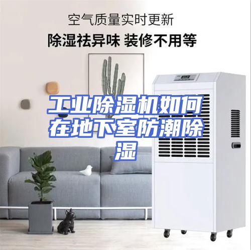 工业除湿机如何在地下室防潮除湿