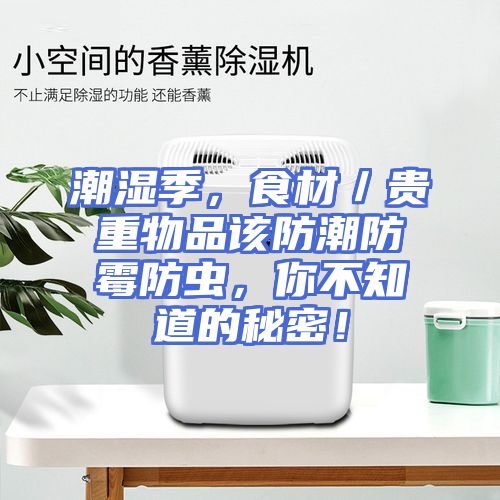 潮湿季，食材／贵重物品该防潮防霉防虫，你不知道的秘密！