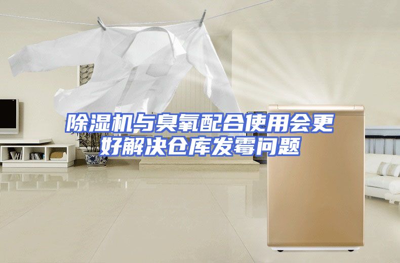 除湿机与臭氧配合使用会更好解决仓库发霉问题
