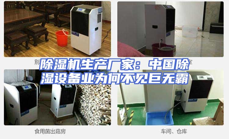 除湿机生产厂家：中国除湿设备业为何不见巨无霸