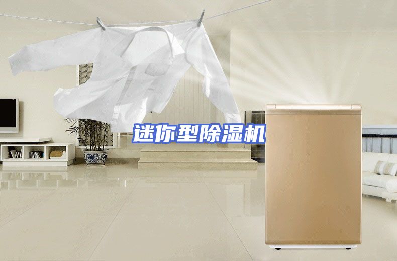 迷你型除湿机