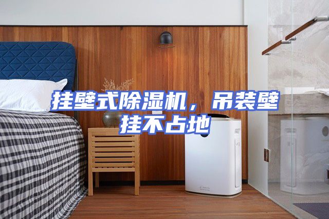 挂壁式除湿机，吊装壁挂不占地