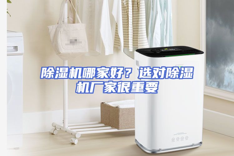 除湿机哪家好？选对除湿机厂家很重要