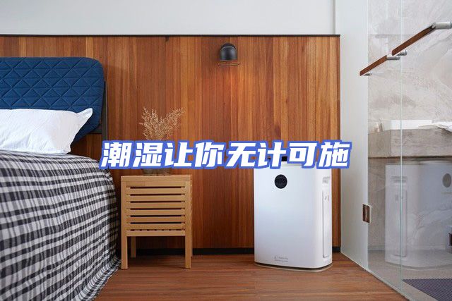 潮湿让你无计可施