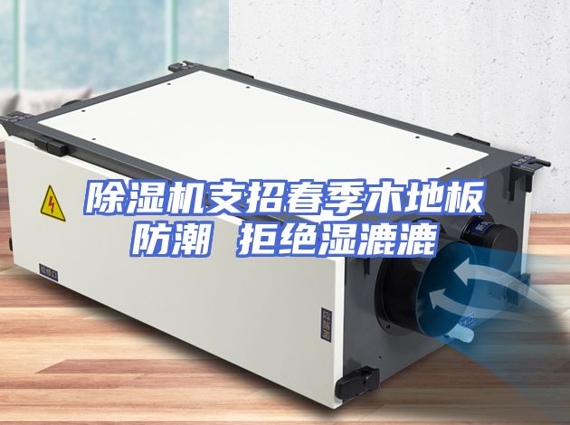 除湿机支招春季木地板防潮 拒绝湿漉漉