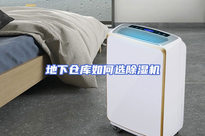 地下仓库如何选除湿机