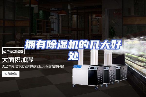 拥有除湿机的几大好处