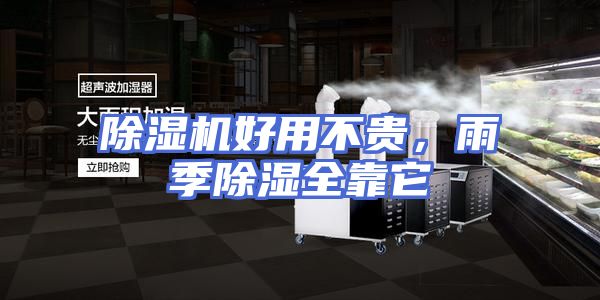除湿机好用不贵，雨季除湿全靠它