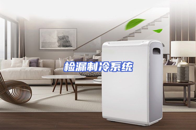 检漏制冷系统