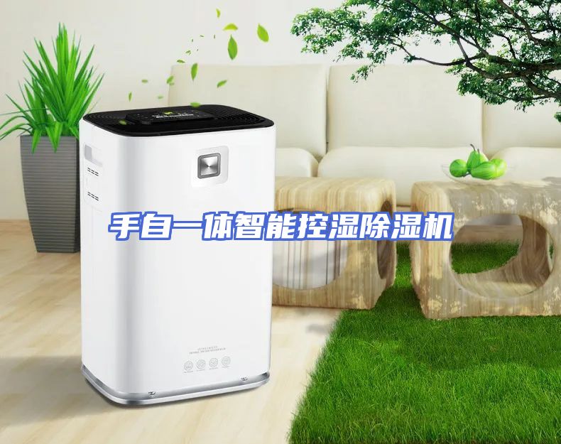 手自一体智能控湿除湿机