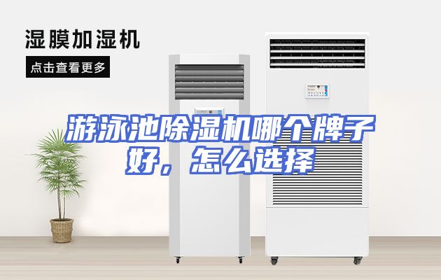 游泳池除湿机哪个牌子好，怎么选择