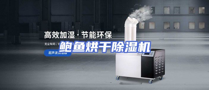 鲍鱼烘干除湿机