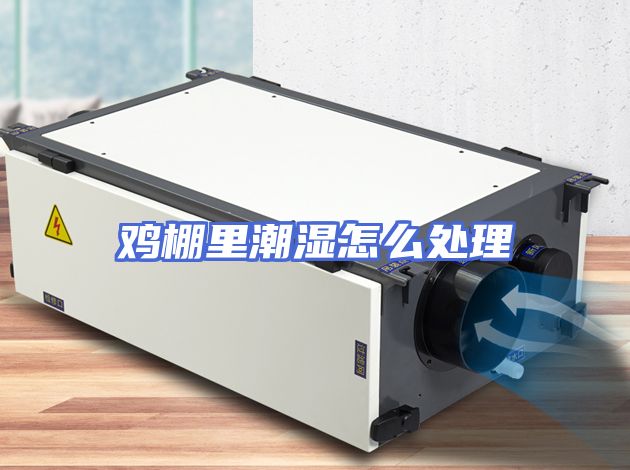 鸡棚里潮湿怎么处理