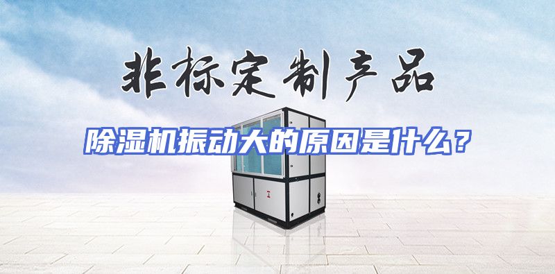 除湿机振动大的原因是什么？