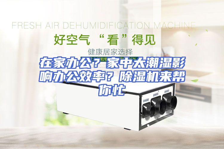 在家办公？家中太潮湿影响办公效率？除湿机来帮你忙