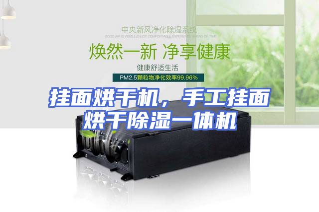 挂面烘干机，手工挂面烘干除湿一体机