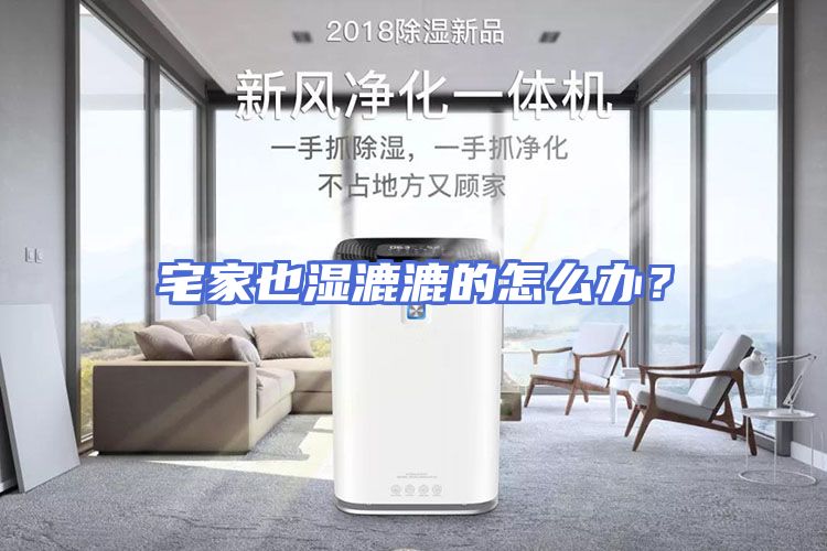 宅家也湿漉漉的怎么办？