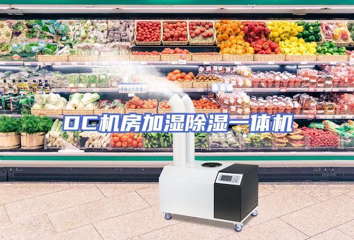 DC机房加湿除湿一体机