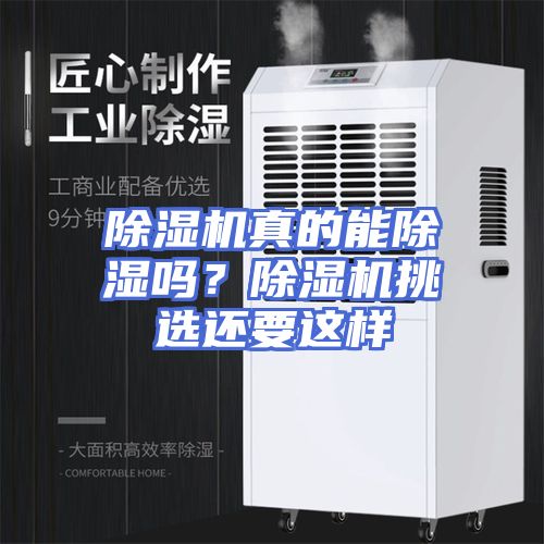 除湿机真的能除湿吗？除湿机挑选还要这样
