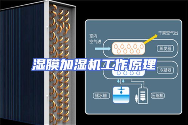 湿膜加湿机工作原理