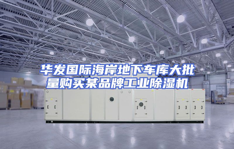 华发国际海岸地下车库大批量购买某品牌工业除湿机