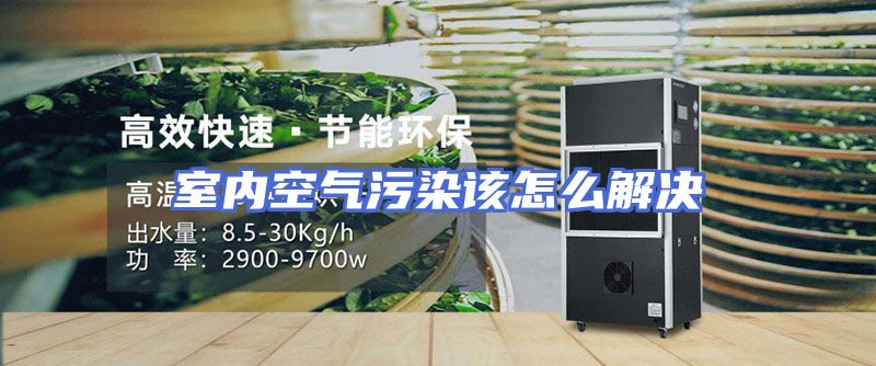 室内空气污染该怎么解决