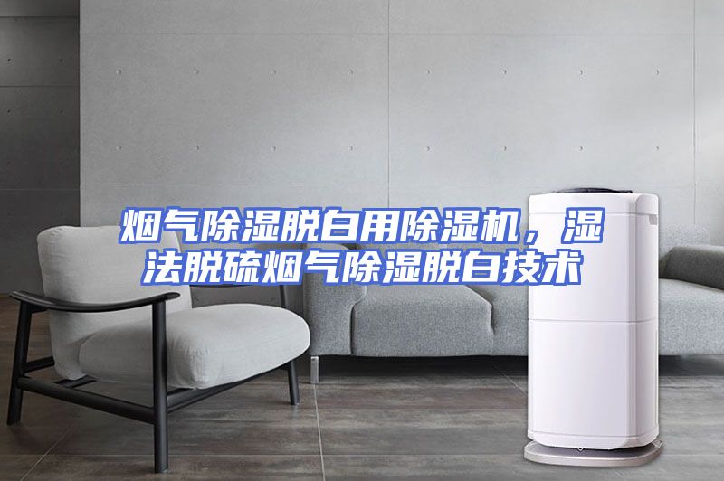 烟气除湿脱白用除湿机，湿法脱硫烟气除湿脱白技术