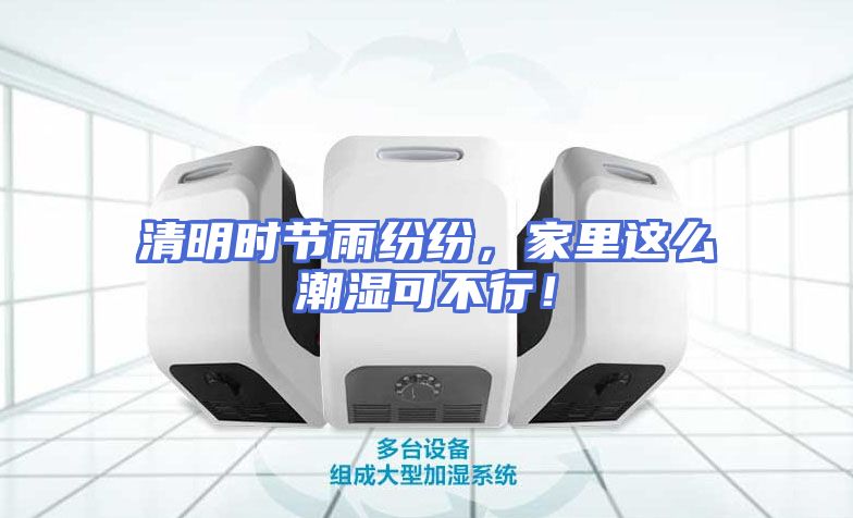 清明时节雨纷纷，家里这么潮湿可不行！