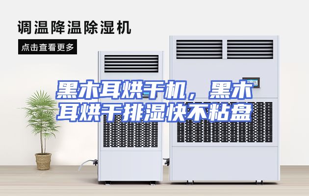 黑木耳烘干机，黑木耳烘干排湿快不粘盘