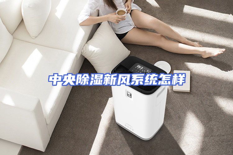 中央除湿新风系统怎样