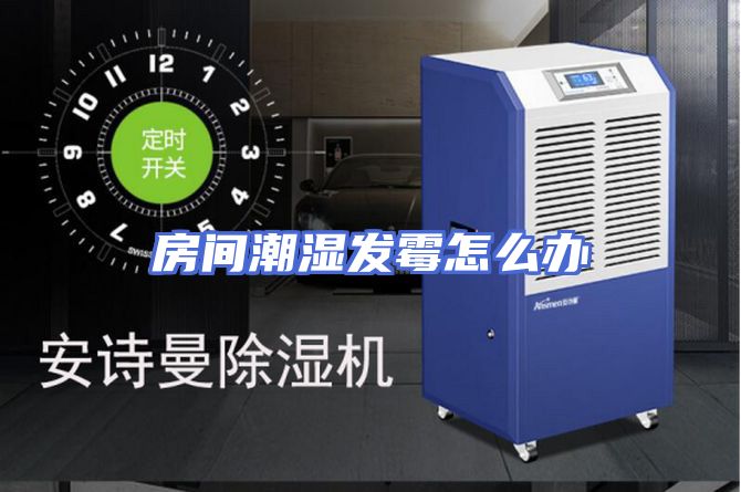 房间潮湿发霉怎么办