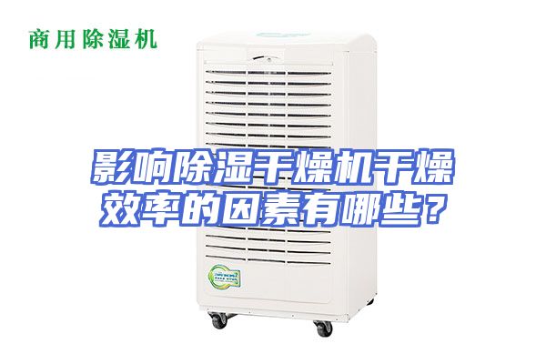 影响除湿干燥机干燥效率的因素有哪些？