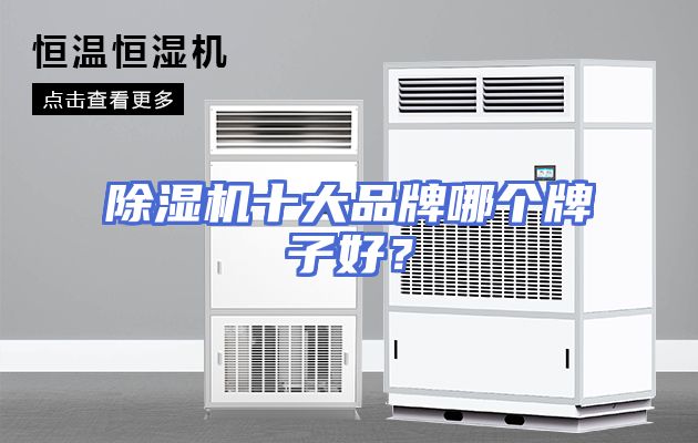 除湿机十大品牌哪个牌子好？