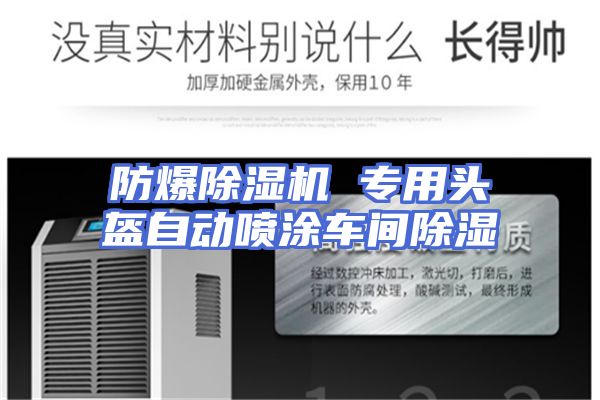 防爆除湿机 专用头盔自动喷涂车间除湿
