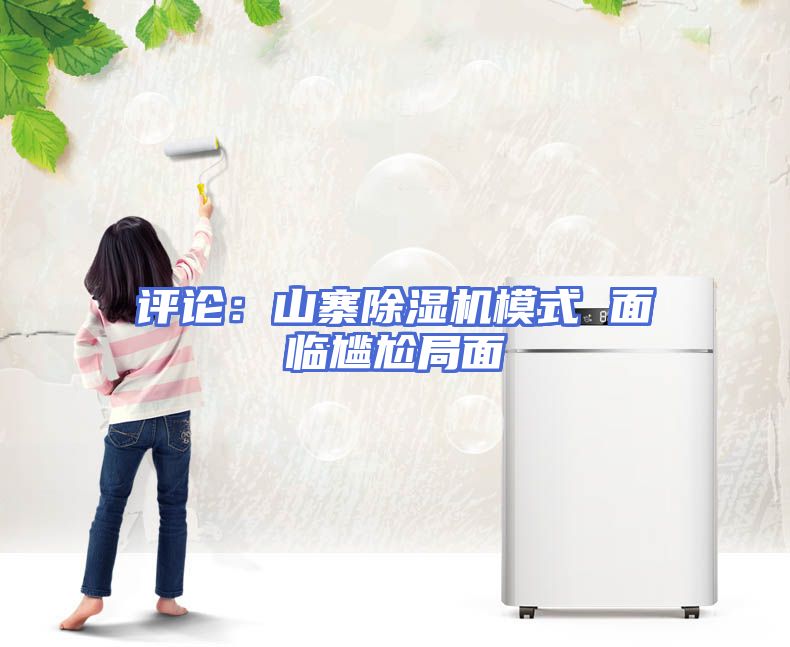评论：山寨除湿机模式 面临尴尬局面