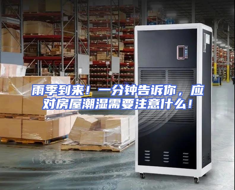 雨季到来！一分钟告诉你，应对房屋潮湿需要注意什么！