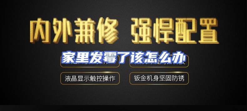 家里发霉了该怎么办