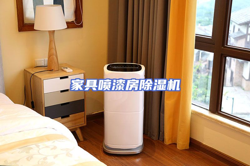 家具喷漆房除湿机