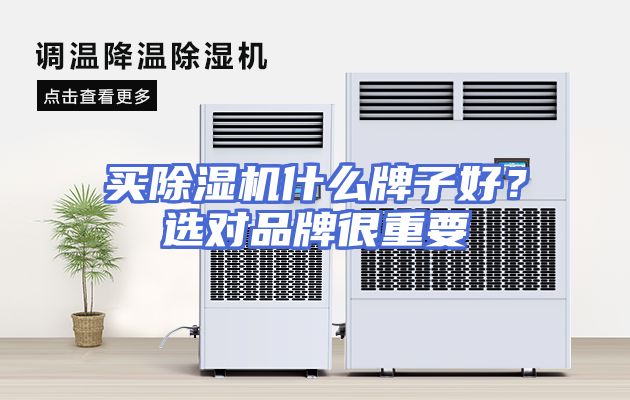 买除湿机什么牌子好？选对品牌很重要