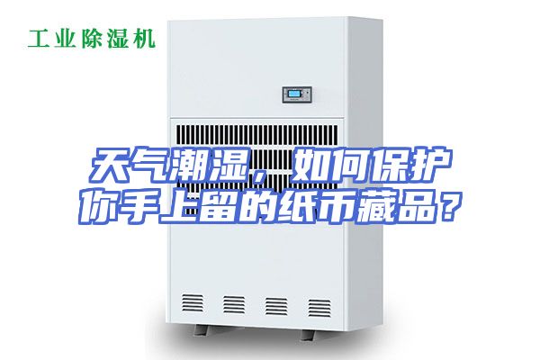 天气潮湿，如何保护你手上留的纸币藏品？
