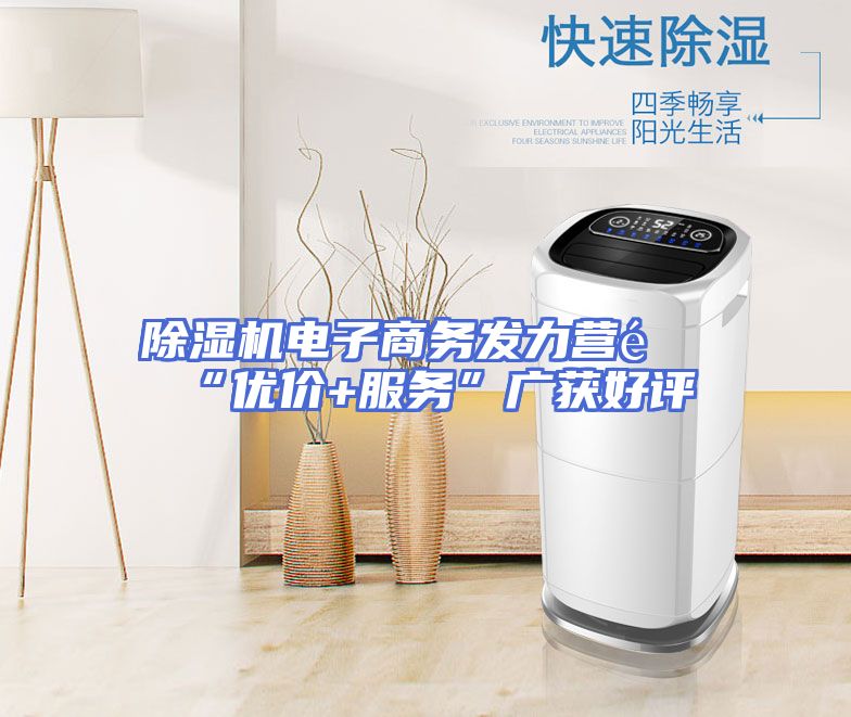 除湿机电子商务发力营销“优价+服务”广获好评