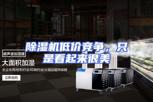 除湿机低价竞争，只是看起来很美