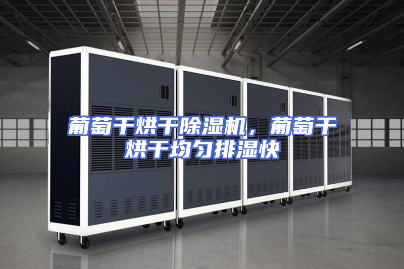 葡萄干烘干除湿机，葡萄干烘干均匀排湿快