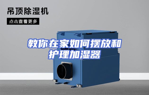 教你在家如何摆放和护理加湿器