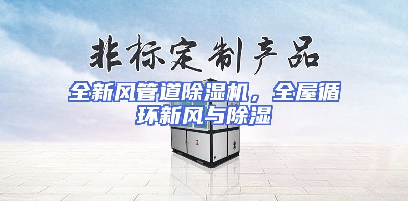 全新风管道除湿机，全屋循环新风与除湿