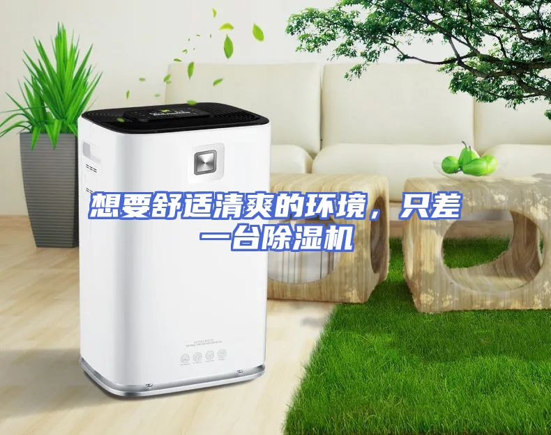 想要舒适清爽的环境，只差一台除湿机