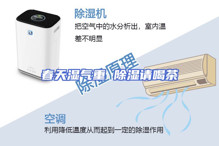 春天湿气重 除湿请喝茶