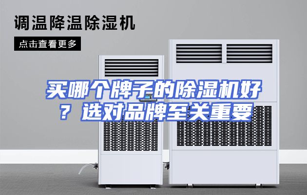 买哪个牌子的除湿机好？选对品牌至关重要