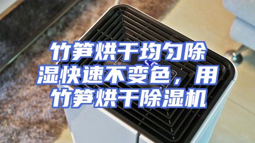 竹笋烘干均匀除湿快速不变色，用竹笋烘干除湿机